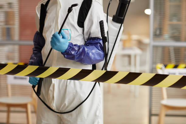 Professional Sewage Cleanup technician working in Clinton, NY